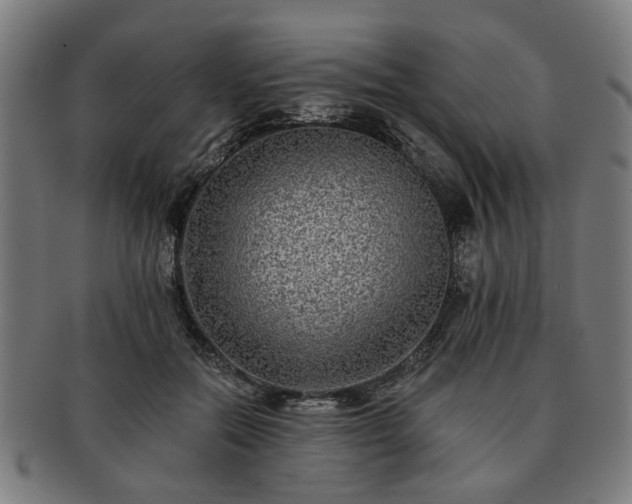 X0000091700554200708311056