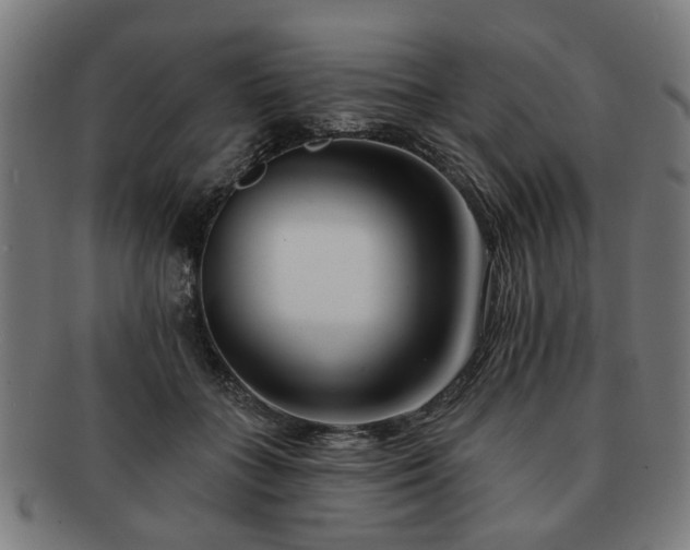 X0000091700555200708311056