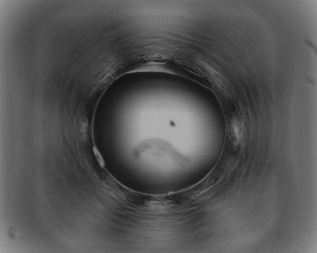 X0000091700556200708311056