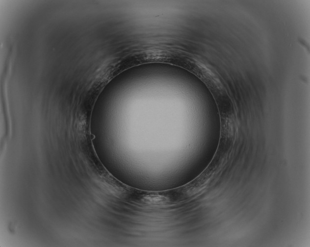 X0000091700557200708311056