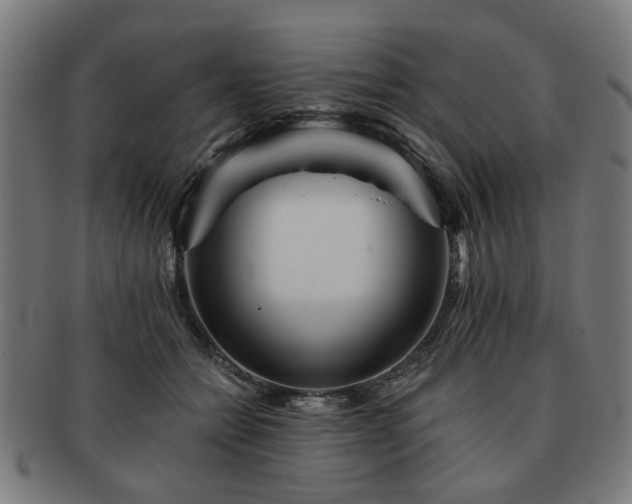 X0000091700558200708311056