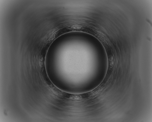 X0000091700559200708311056
