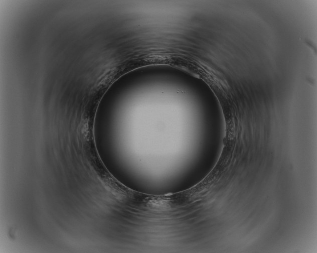 X0000091700560200708311056