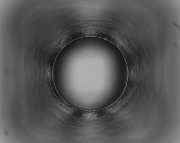 X0000091700561200708311056