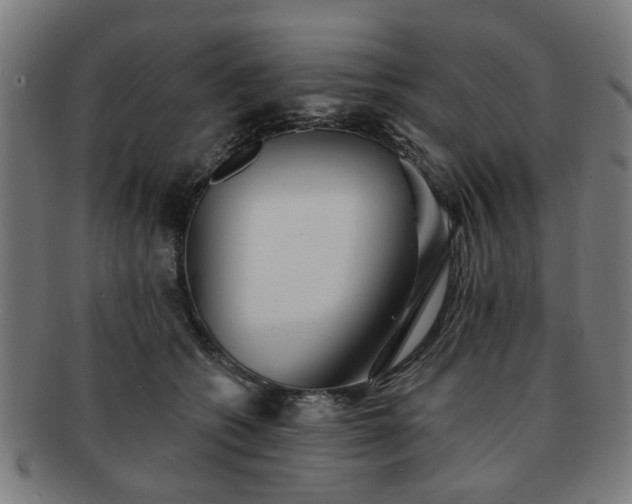 X0000091700562200708311056