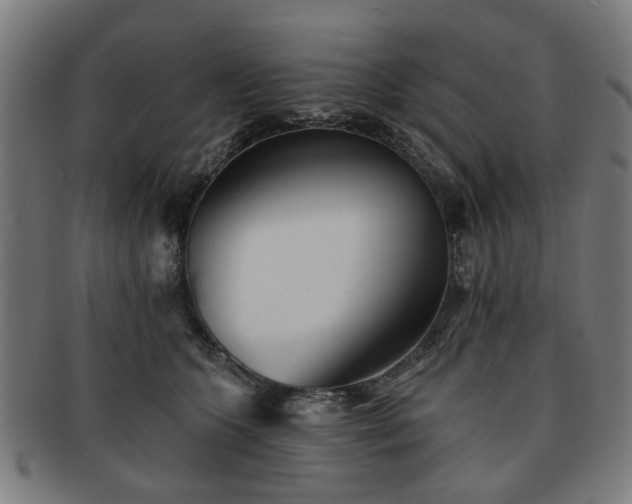 X0000091700563200708311056