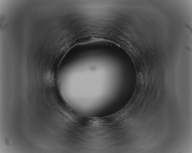 X0000091700564200708311056