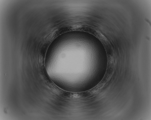 X0000091700565200708311056