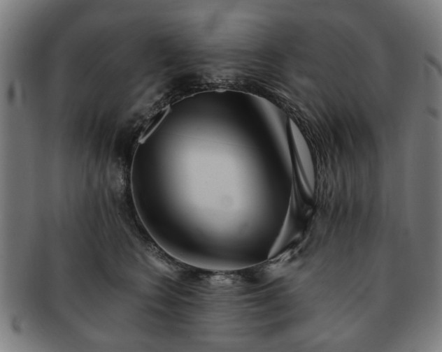 X0000091700566200708311056