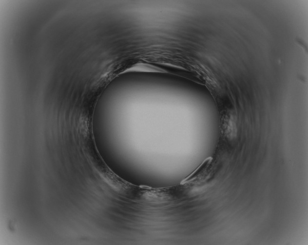 X0000091700568200708311056
