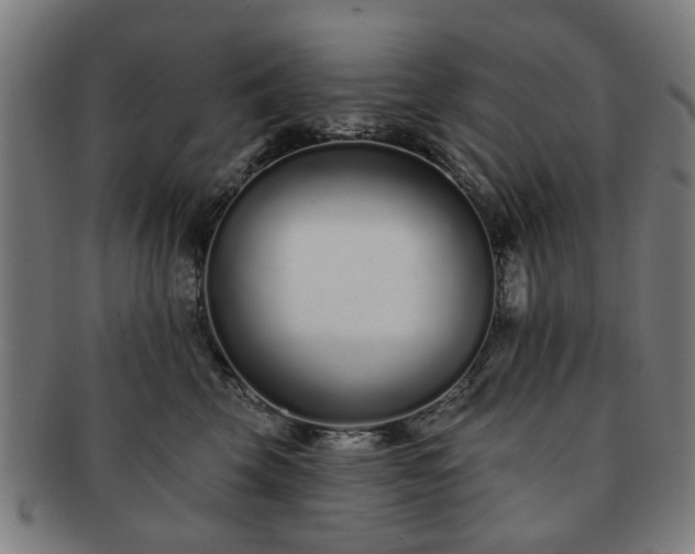 X0000091700569200708311056