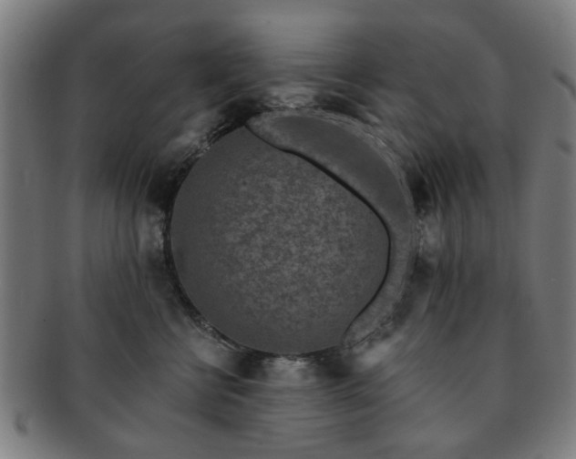 X0000091700570200708311056