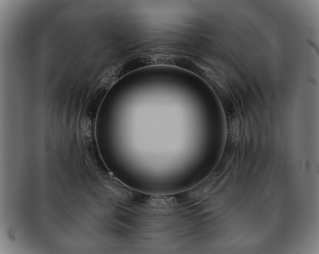 X0000091700571200708311056