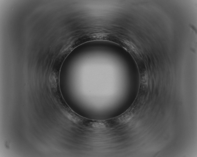 X0000091700572200708311056
