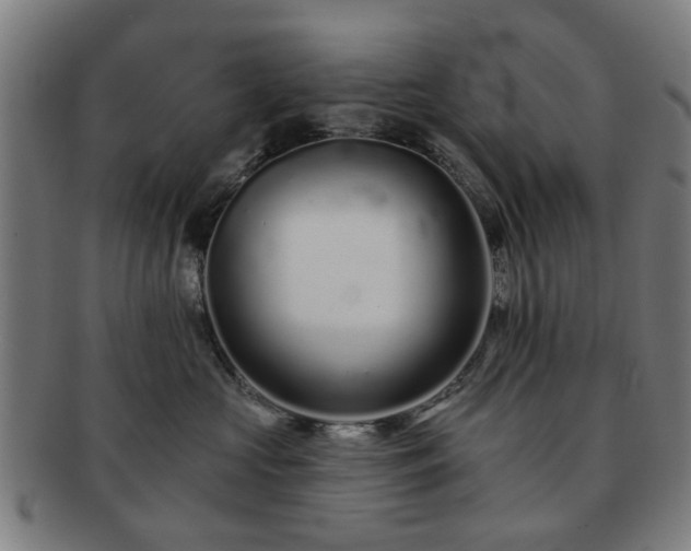 X0000091700573200708311056