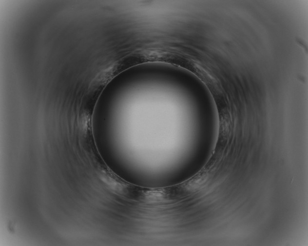 X0000091700574200708311056