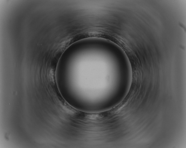 X0000091700575200708311056
