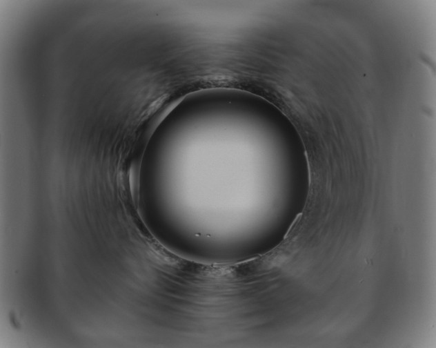 X0000091700576200708311056