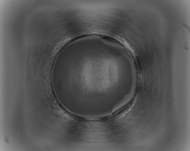 X0000091700577200708311055