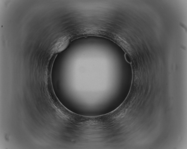 X0000091700578200708311055