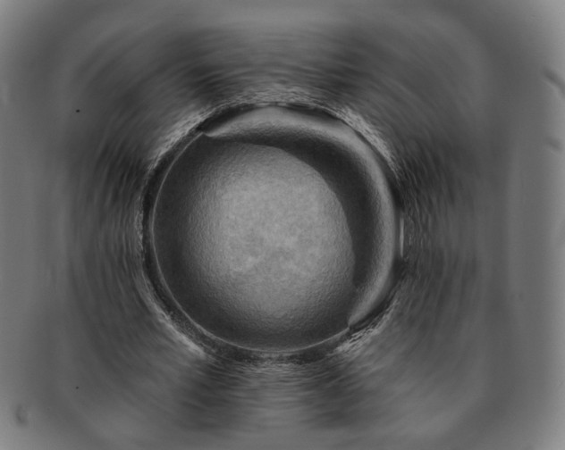 X0000091700581200708311055