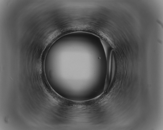 X0000091700582200708311055