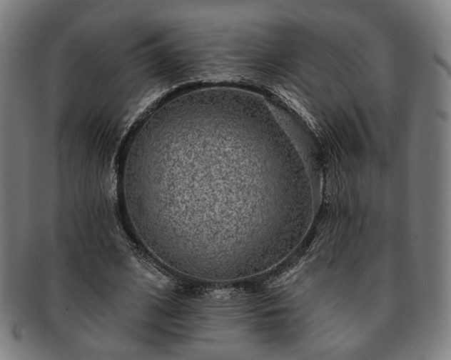 X0000091700584200708311055