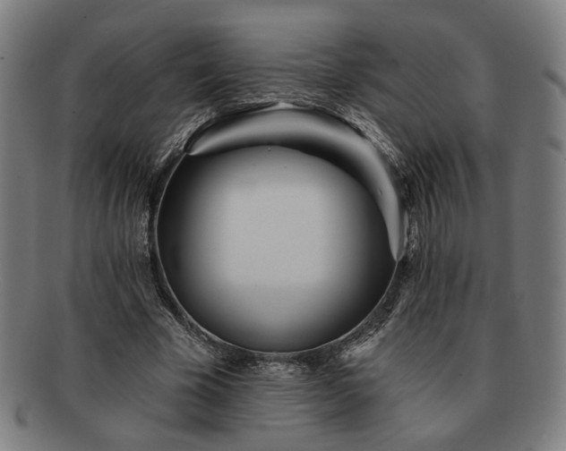 X0000091700585200708311055