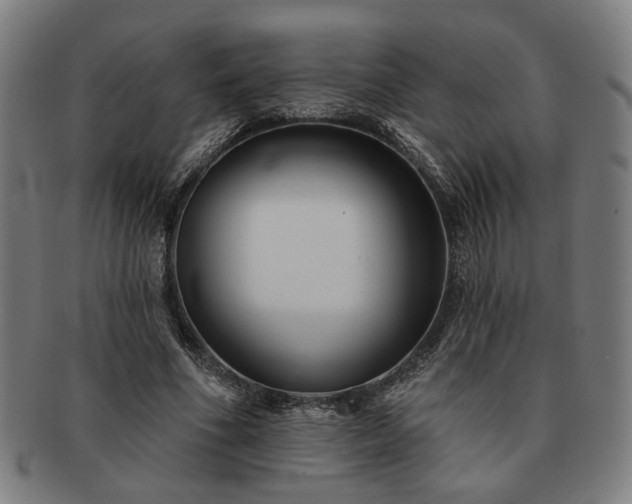X0000091700586200708311055