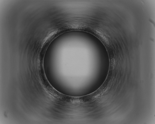 X0000091700587200708311055