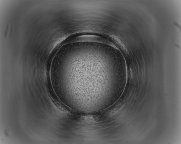 X0000091700588200708311055