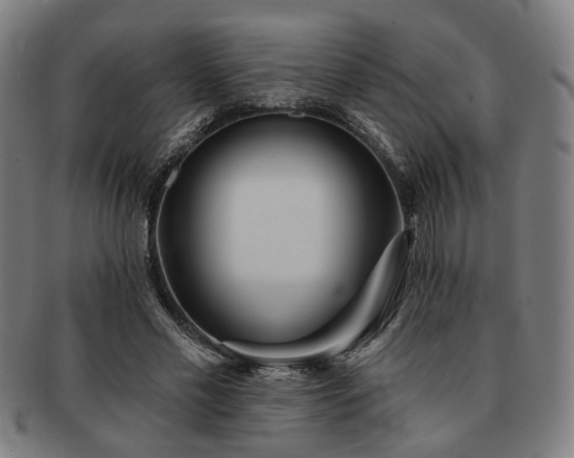 X0000091700589200708311055