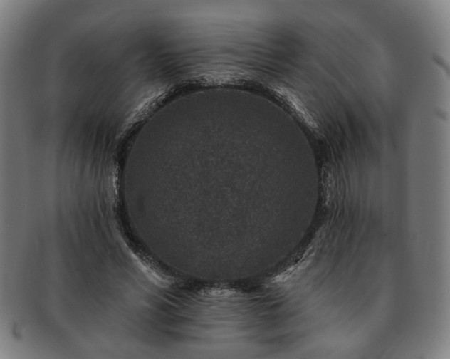 X0000091700590200708311055