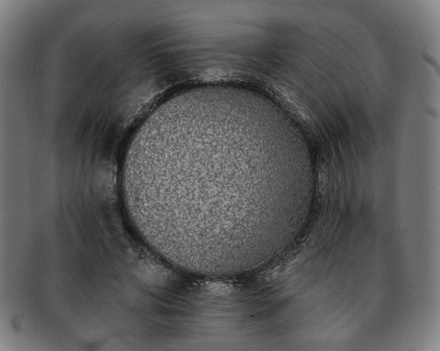 X0000091700592200708311055