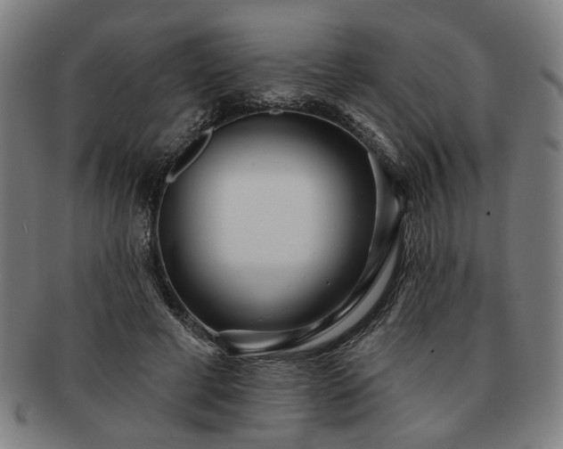 X0000091700593200708311055