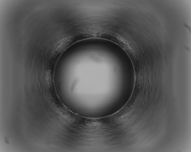 X0000091700594200708311055