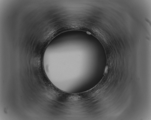 X0000091700595200708311055