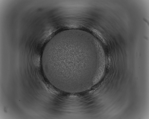 X0000091700596200708311055
