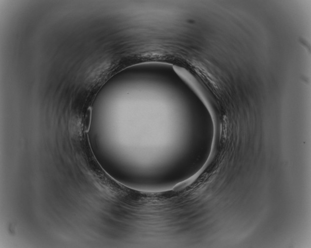 X0000091700597200708311055