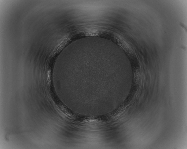 X0000091700598200708311055