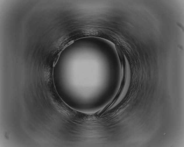 X0000091700600200708311055