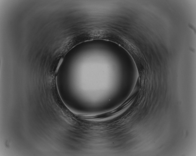 X0000091700601200708311055