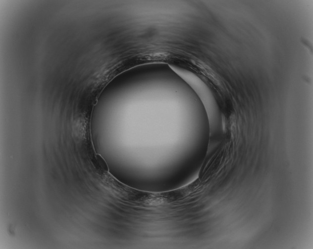 X0000091700604200708311055