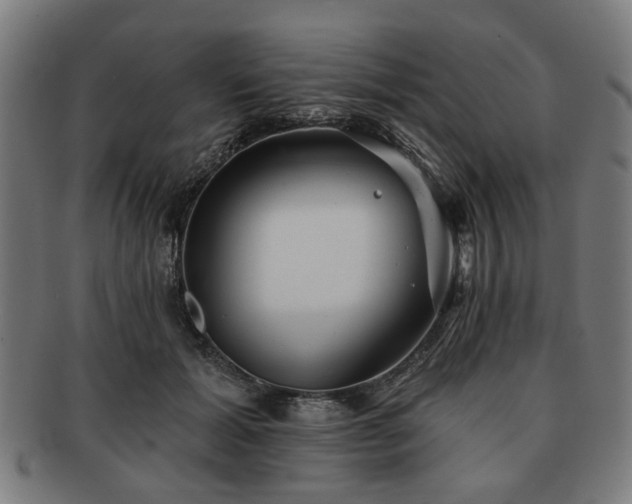 X0000091700605200708311055