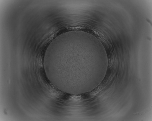 X0000091700606200708311055