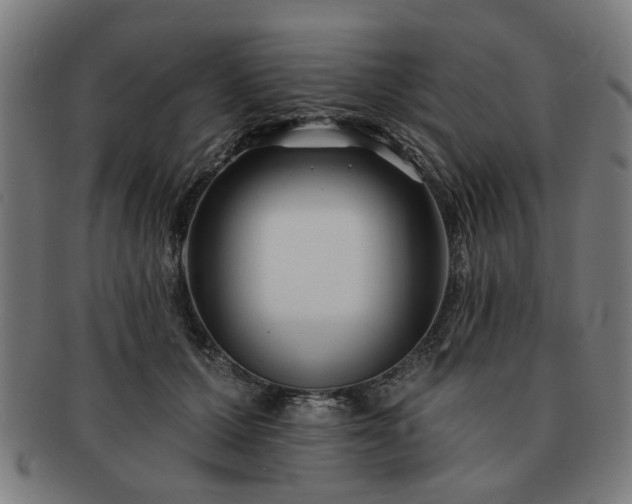 X0000091700607200708311055