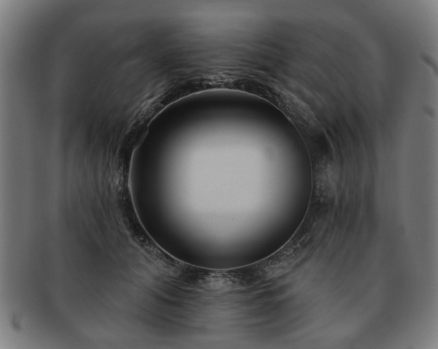X0000091700608200708311055