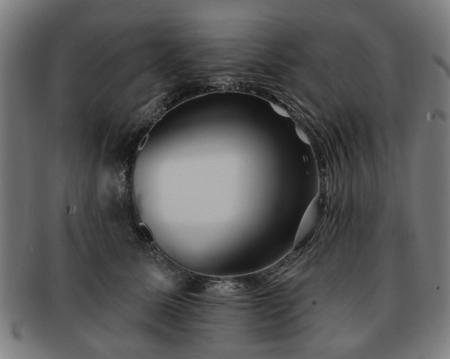 X0000091700611200708311055
