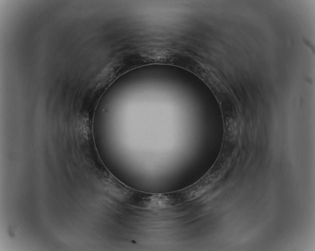 X0000091700612200708311055