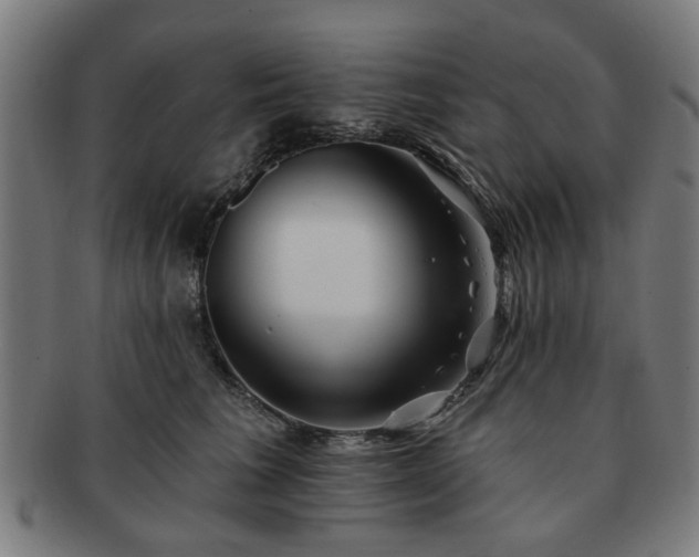 X0000091700613200708311055